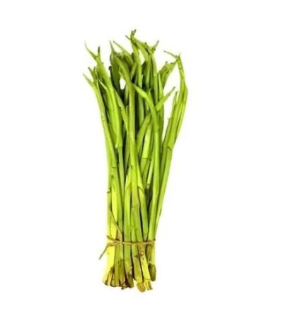 কচুরলতি-kochur-Loti