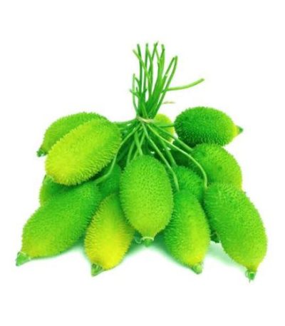 কাকরোল-Kakrol
