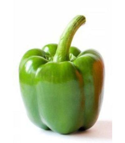 ক্যাপসিকাম-সবুজ-Capsicum-Green