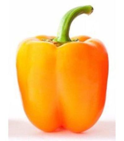 ক্যাপসিকাম-হলুদ-Capsicum-Yellow
