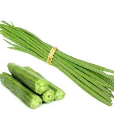সজনীডাটা-Shajnidata