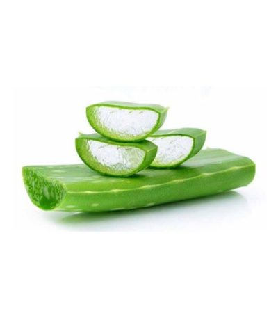 অ্যালোভেরা-Aloe-vera