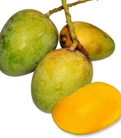 আম (mango)