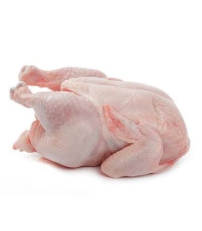 বয়লার-মুরগি-Boiler-chicken