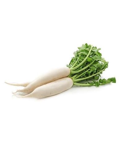 মুলা-Radish